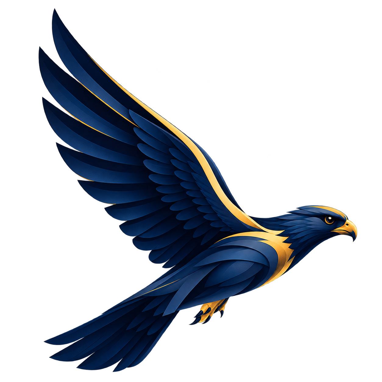 Halcón de Compás Evolution: dirección y movimiento